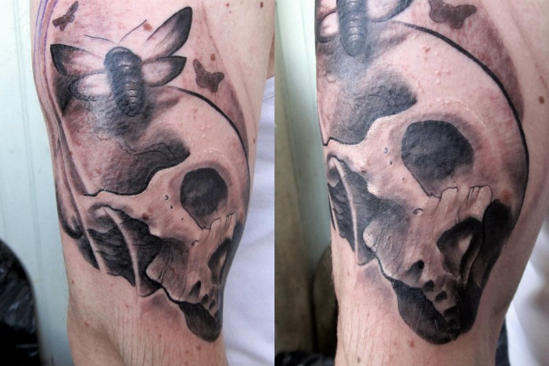 手臂壮观的黑灰风格骷髅和蝴蝶纹身图案